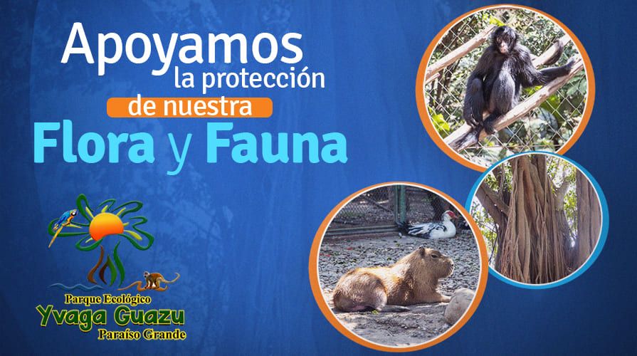 Apoyamos la protección del Parque Yvaga Guazú