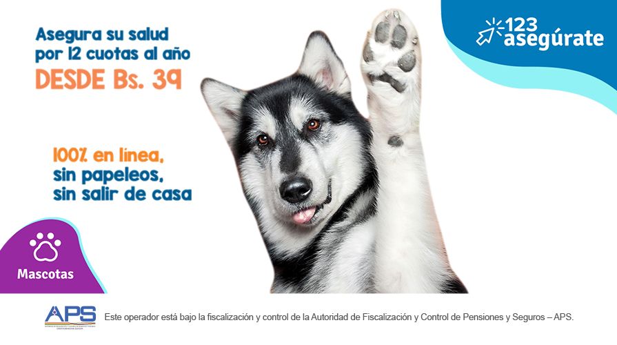 Primer seguro digital para mascotas en Nacional Seguros